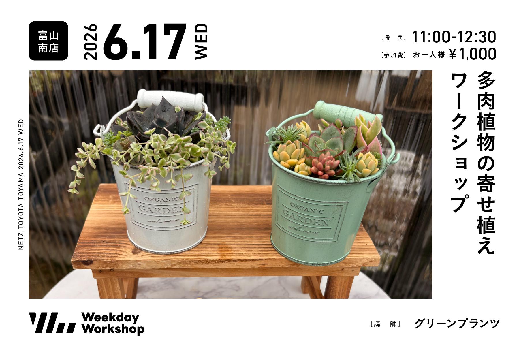 多肉植物の寄せ植えワークショップ