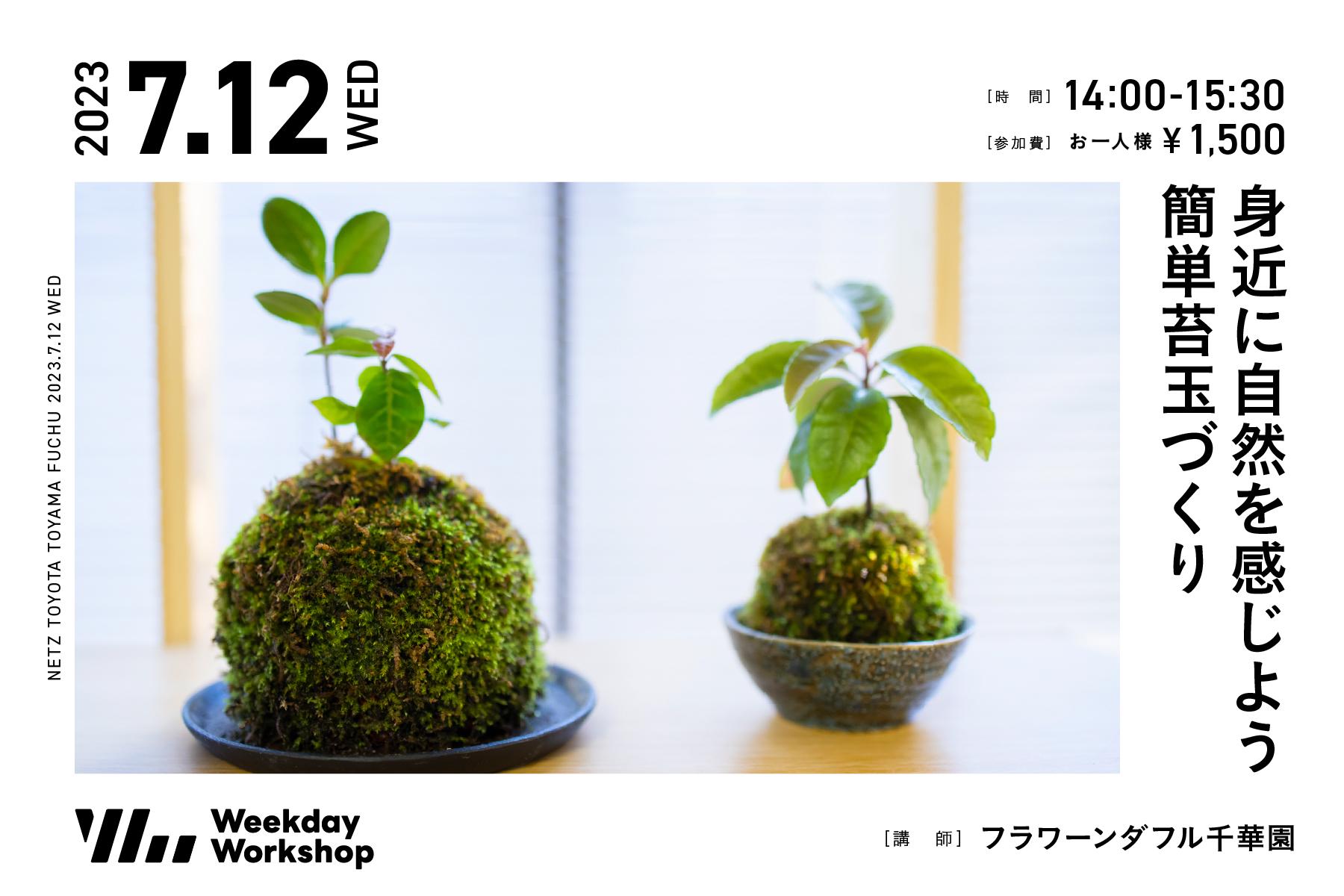 身近に自然を感じよう簡単苔玉づくり